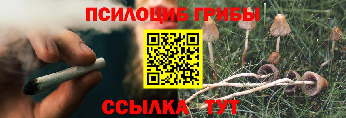 Вичуга  Галлюциногенные грибы GOLDEN TEACHER  Вход с VPN 