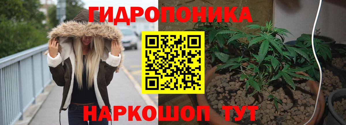 Конопля Bruce Banner Вичуга